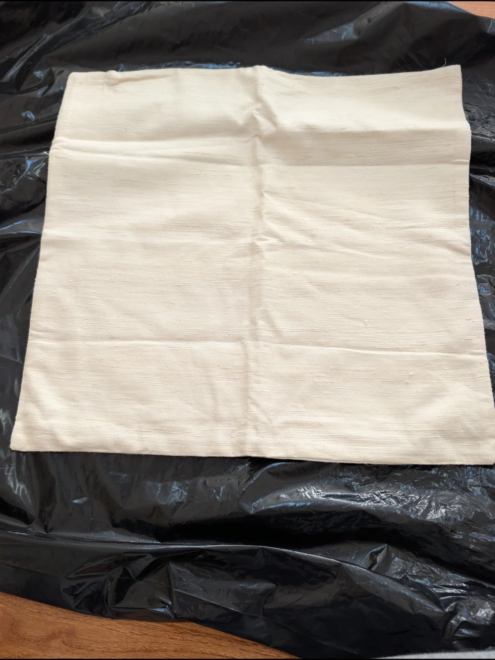 Quince 100% Raw Silk Pillow Cover Ivory 20x20 NWOT